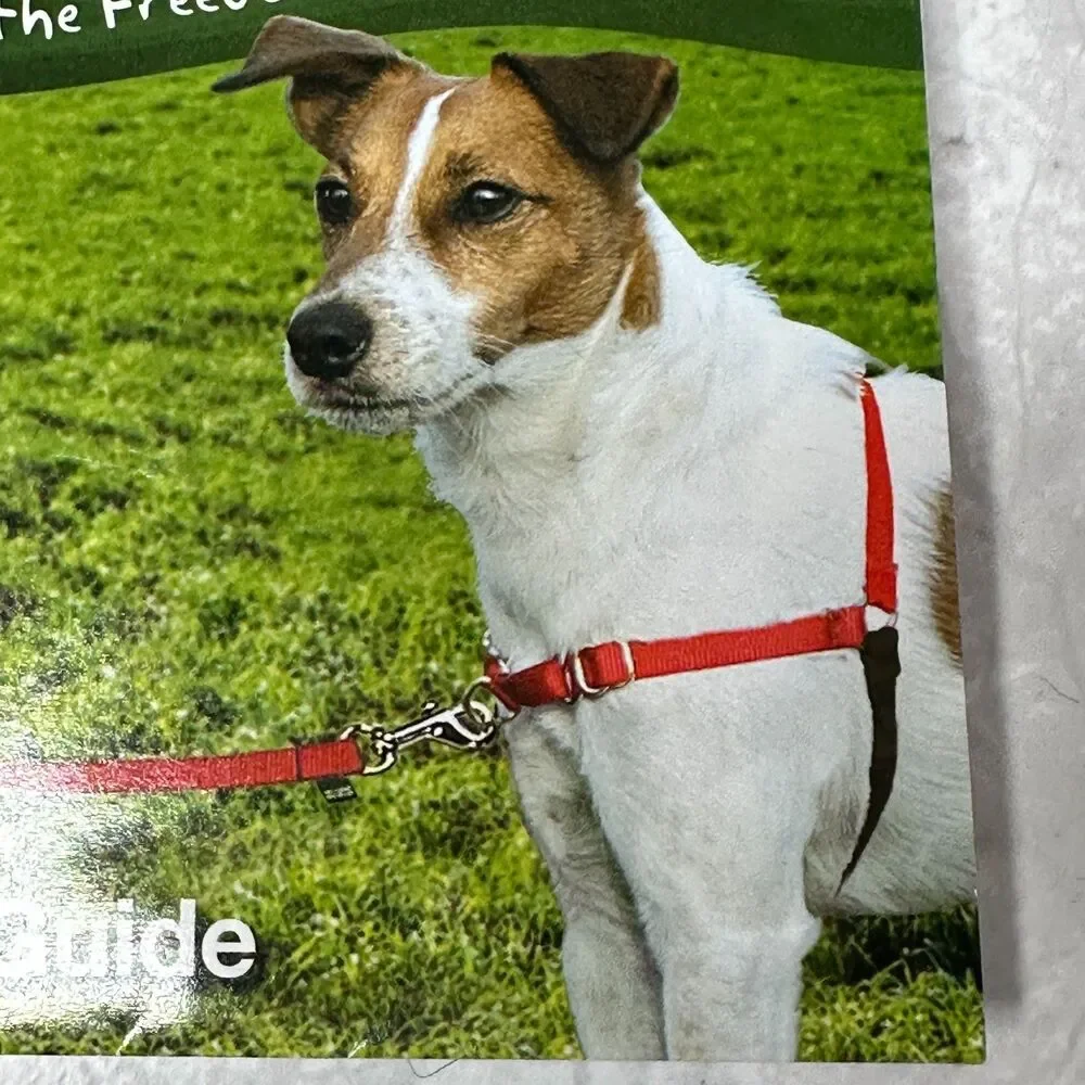 PetSafe pet safe
